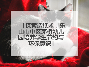 探索造纸术，乐山市中区茅桥幼儿园培养学生节约与环保意识
